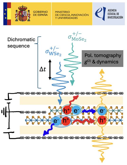 Scheme of a dual-gated WSe₂/MoSe₂ moiré heterobilayer driven by two lasers, emitting σ± photons in reflection and transmission